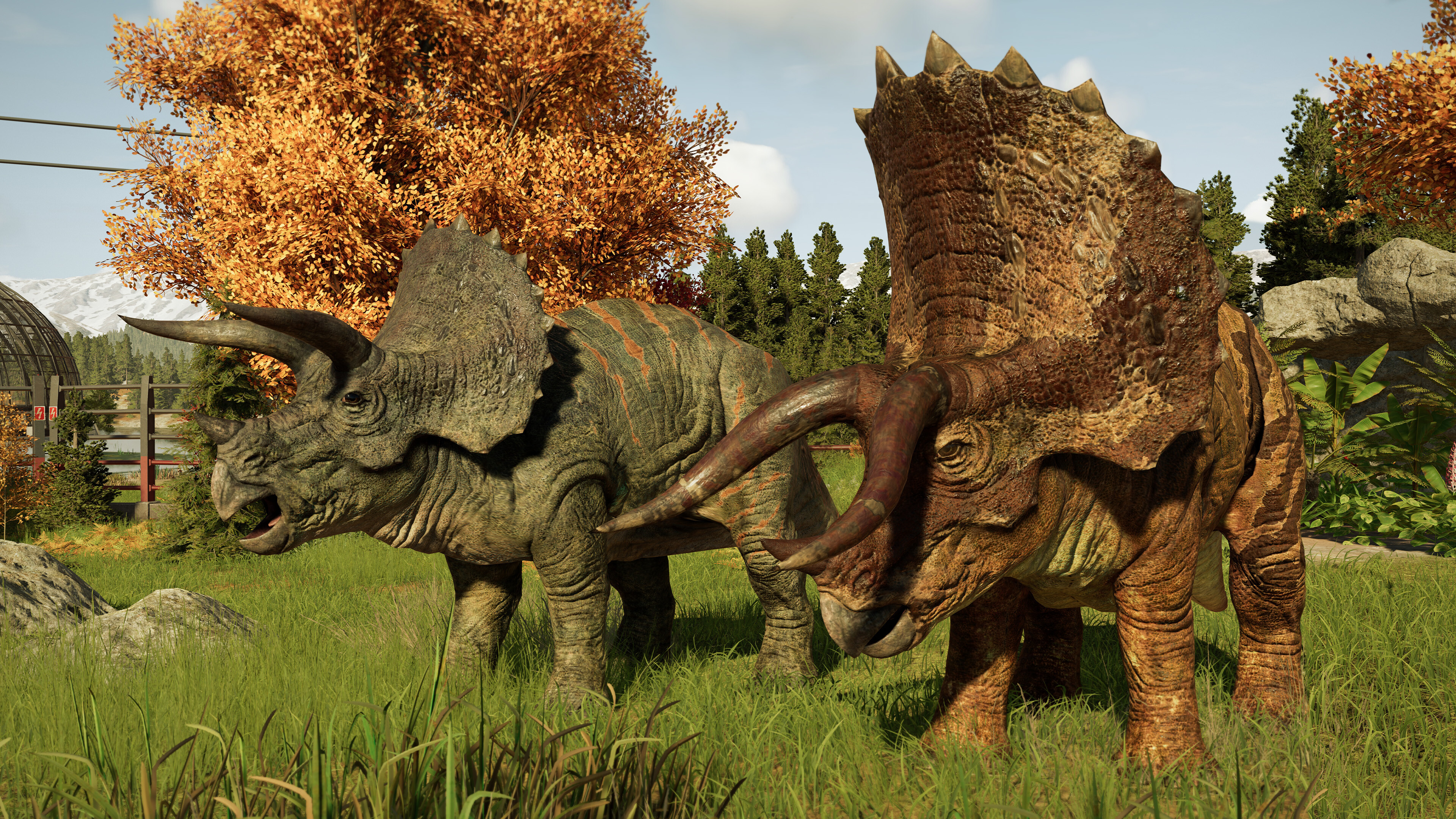 A pair of triceratops in Jurassic World Evolution 3.
