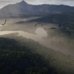 Bastion of sober videogame realism Microsoft Flight Simulator is about to get dinosaurs thanks to a Jurassic World crossover